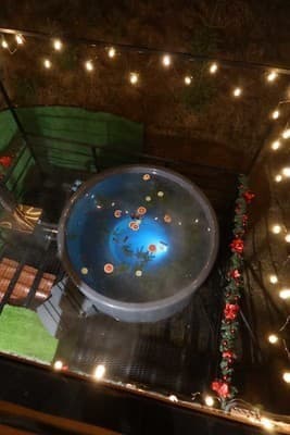 Готель Milana SPA & Hotel - SPA included 3